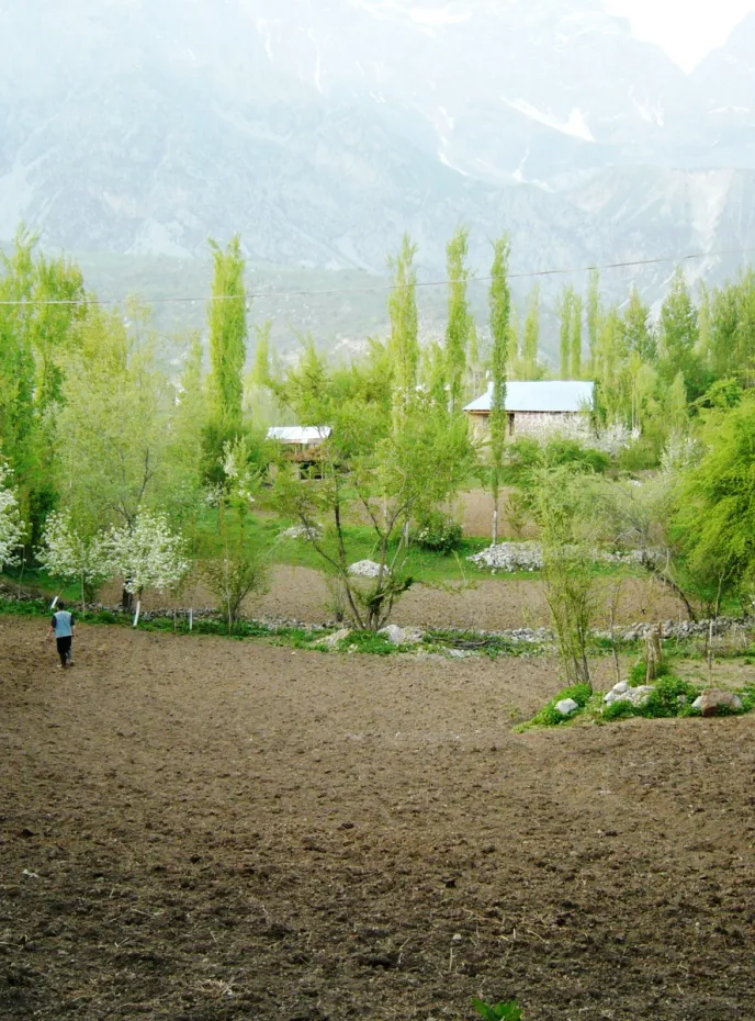 Agriculture in Arslanbob village