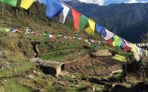 community permaculture garden