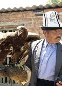 Sagimbay Bokonbaeva birds of prey